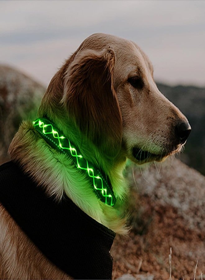 لوينت طوق كلاب أنيق مضيء من لوينت، طوق LED قابل لإعادة الشحن عبر منفذ USB - إضاءة آمنة في الظلام للمشي الليلي والتخييم | قابل للتعديل، مقاوم للماء، لون أخضر عالي الوضوح - Image 1